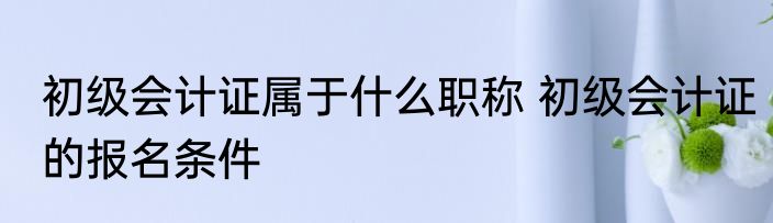 初级会计证属于什么职称 初级会计证的报名条件