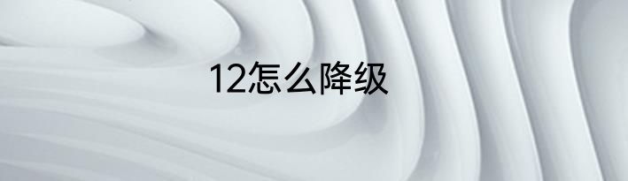 12怎么降级