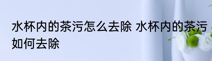 水杯内的茶污怎么去除 水杯内的茶污如何去除