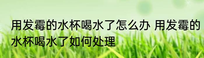 用发霉的水杯喝水了怎么办 用发霉的水杯喝水了如何处理