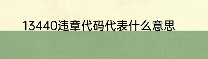 13440违章代码代表什么意思