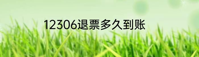 12306退票多久到账