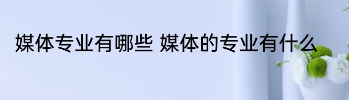 媒体专业有哪些 媒体的专业有什么