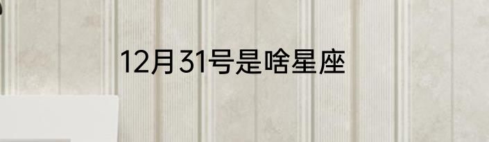 12月31号是啥星座