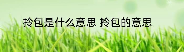 拎包是什么意思 拎包的意思