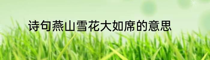 诗句燕山雪花大如席的意思