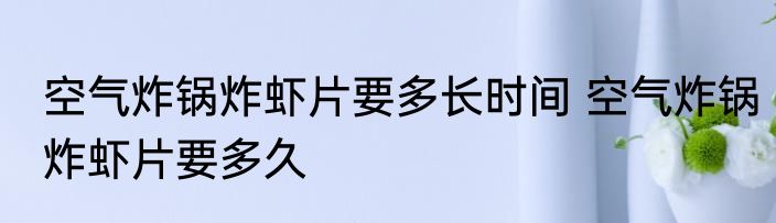 空气炸锅炸虾片要多长时间 空气炸锅炸虾片要多久