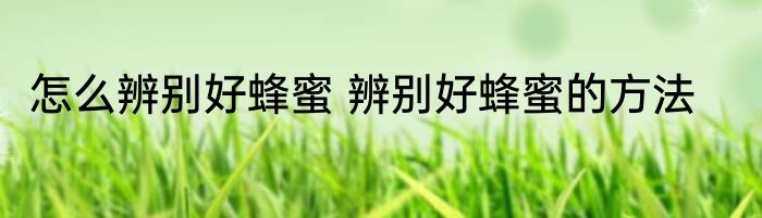 怎么辨别好蜂蜜 辨别好蜂蜜的方法