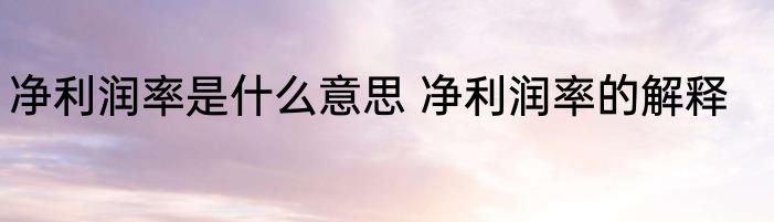 净利润率是什么意思 净利润率的解释