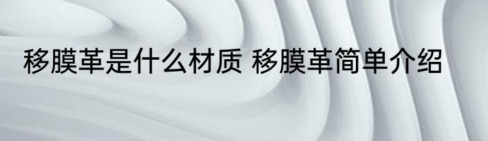 移膜革是什么材质 移膜革简单介绍