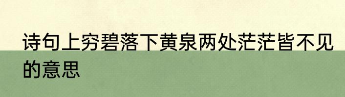 诗句上穷碧落下黄泉两处茫茫皆不见的意思