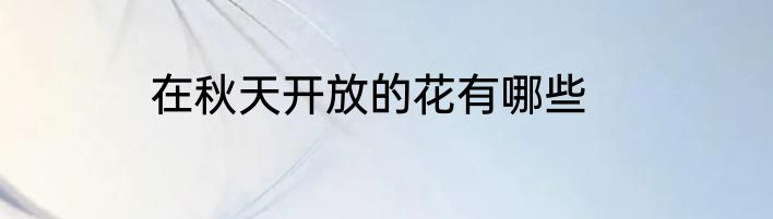 在秋天开放的花有哪些