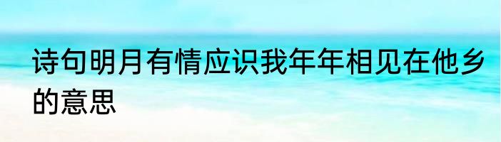 诗句明月有情应识我年年相见在他乡的意思