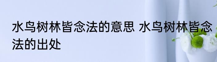 水鸟树林皆念法的意思 水鸟树林皆念法的出处