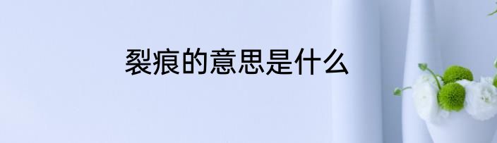 裂痕的意思是什么