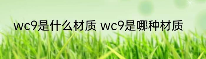 wc9是什么材质 wc9是哪种材质