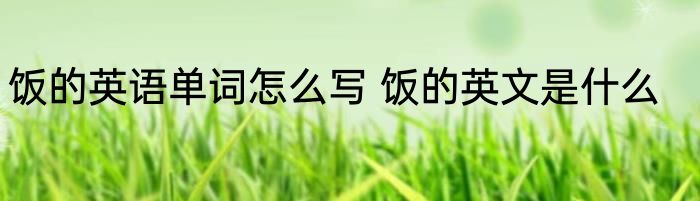 饭的英语单词怎么写 饭的英文是什么