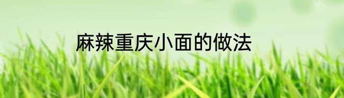 麻辣重庆小面的做法