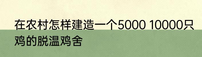 诗句既来之则安之的前一句是什么