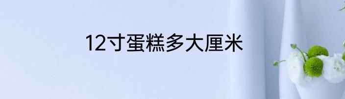 12寸蛋糕多大厘米