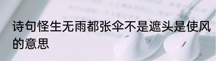 诗句怪生无雨都张伞不是遮头是使风的意思