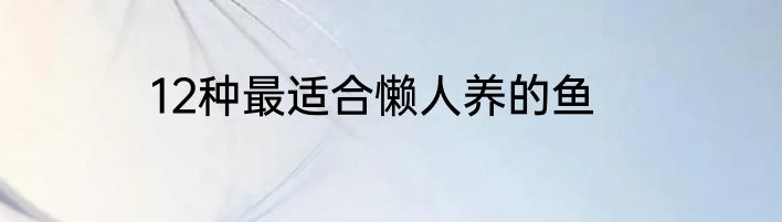 12种最适合懒人养的鱼