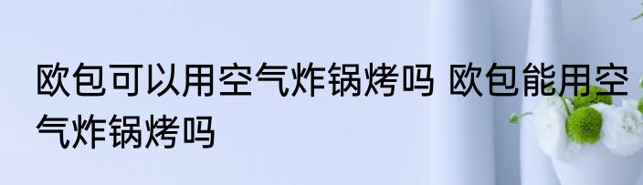 欧包可以用空气炸锅烤吗 欧包能用空气炸锅烤吗