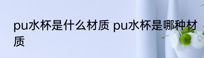 pu水杯是什么材质 pu水杯是哪种材质