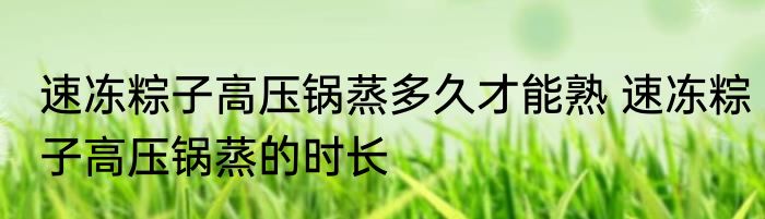 速冻粽子高压锅蒸多久才能熟 速冻粽子高压锅蒸的时长