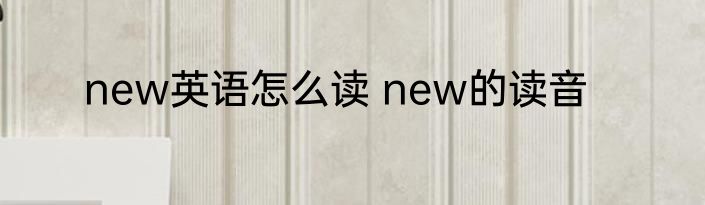 new英语怎么读 new的读音