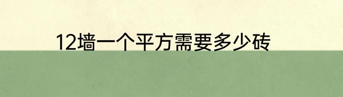 12墙一个平方需要多少砖