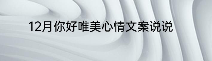 12月你好唯美心情文案说说