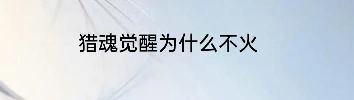 猎魂觉醒为什么不火