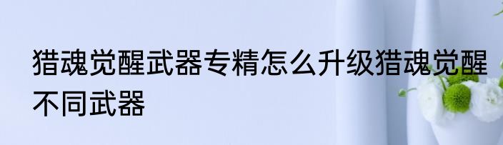 猎魂觉醒武器专精怎么升级猎魂觉醒不同武器