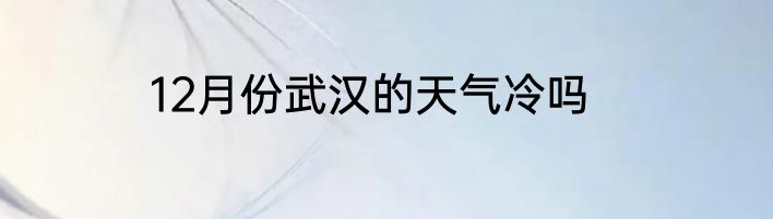 12月份武汉的天气冷吗