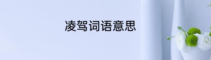 凌驾词语意思
