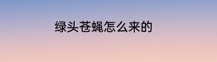 绿头苍蝇怎么来的