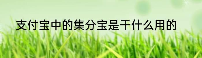 支付宝中的集分宝是干什么用的
