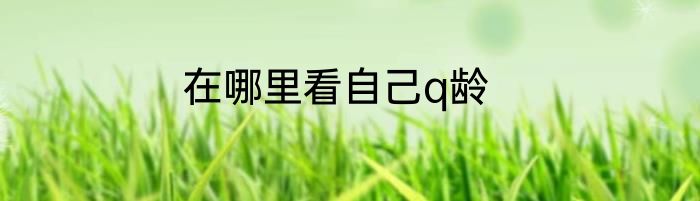 在哪里看自己q龄