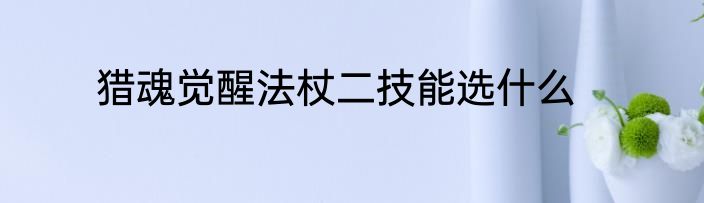 猎魂觉醒法杖二技能选什么