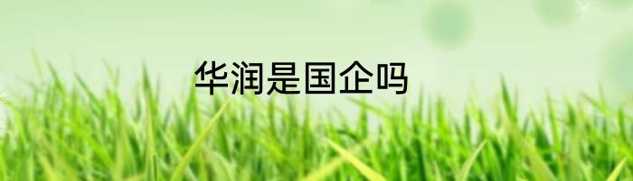 华润是国企吗