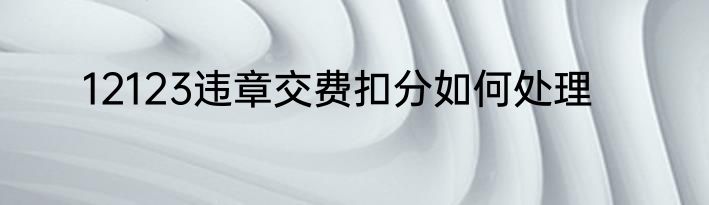 12123违章交费扣分如何处理
