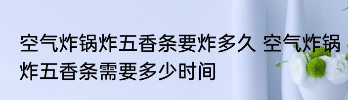 空气炸锅炸五香条要炸多久 空气炸锅炸五香条需要多少时间