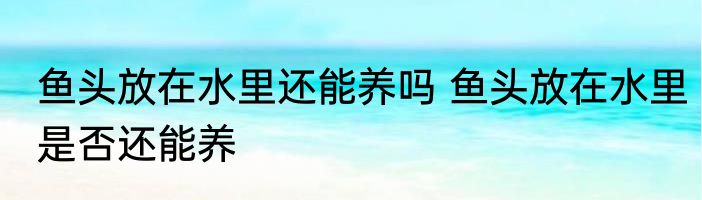 鱼头放在水里还能养吗 鱼头放在水里是否还能养