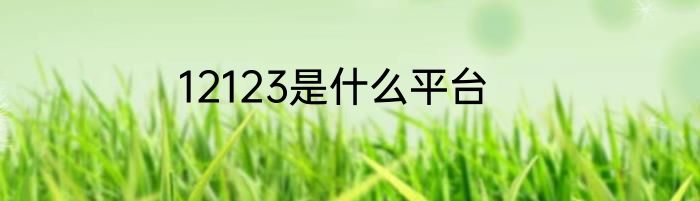 12123是什么平台