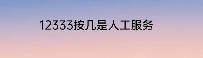 12333按几是人工服务