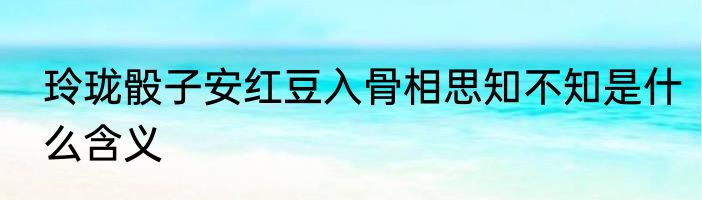 玲珑骰子安红豆入骨相思知不知是什么含义