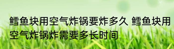 鳕鱼块用空气炸锅要炸多久 鳕鱼块用空气炸锅炸需要多长时间