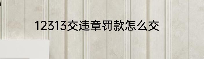 12313交违章罚款怎么交