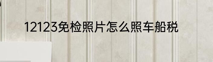 12123免检照片怎么照车船税